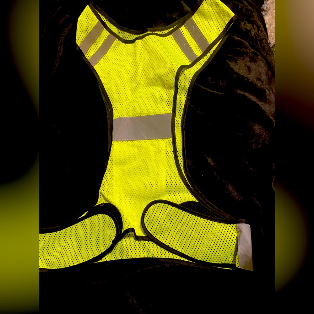 Vest reflections